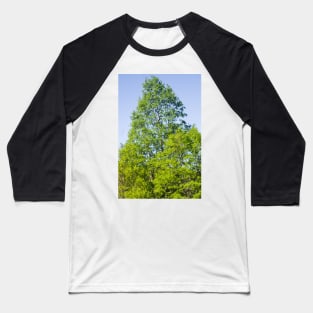 elb oak tree Baseball T-Shirt